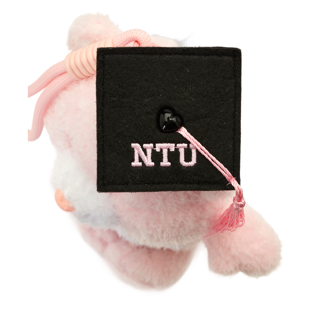 GraceGift CareBears聯名 樂觀小熊 NTU畢業祝福小熊吊飾禮盒 附贈手機墊片 粉紅